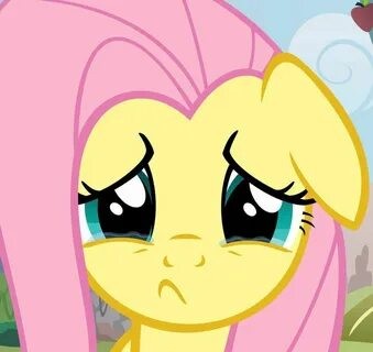 Create meme: fluttershy , fluttershy is crying, Pony fluttershy is crying