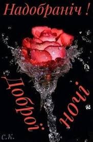Создать мем: розы с каплями воды, розы красные, роза из воды фон красивый