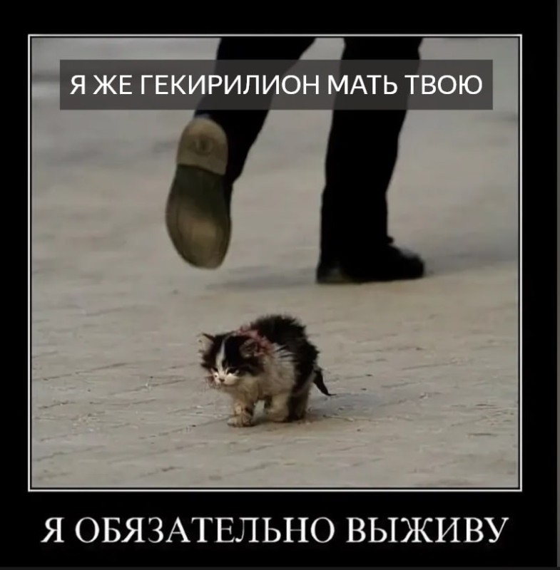 Create meme: I will definitely survive, I will definitely survive the cat, I will survive the kitten