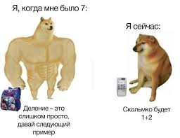 Создать мем: накаченная собака мем, накаченный пес мем, накаченные собаки