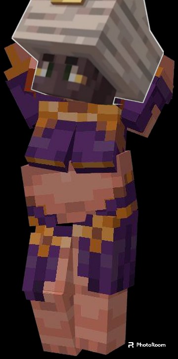 Create meme: minecraft , minecraft skin , the wandering merchant of minecraft