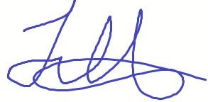 Create meme: signature , signature with a blue pen, beautiful signatures