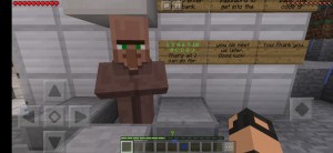 Create meme: resident minecraft, a resident in minecraft, minecraft resident