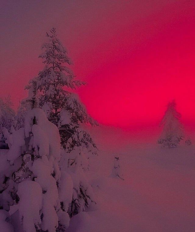 Создать мем: красный рассвет зимой, зима пейзаж, снежный пейзаж