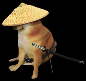 Создать мем: собака самурай, doge samurai, собака с катаной