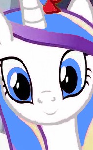 Create meme: pony , Princess cadance , pony 