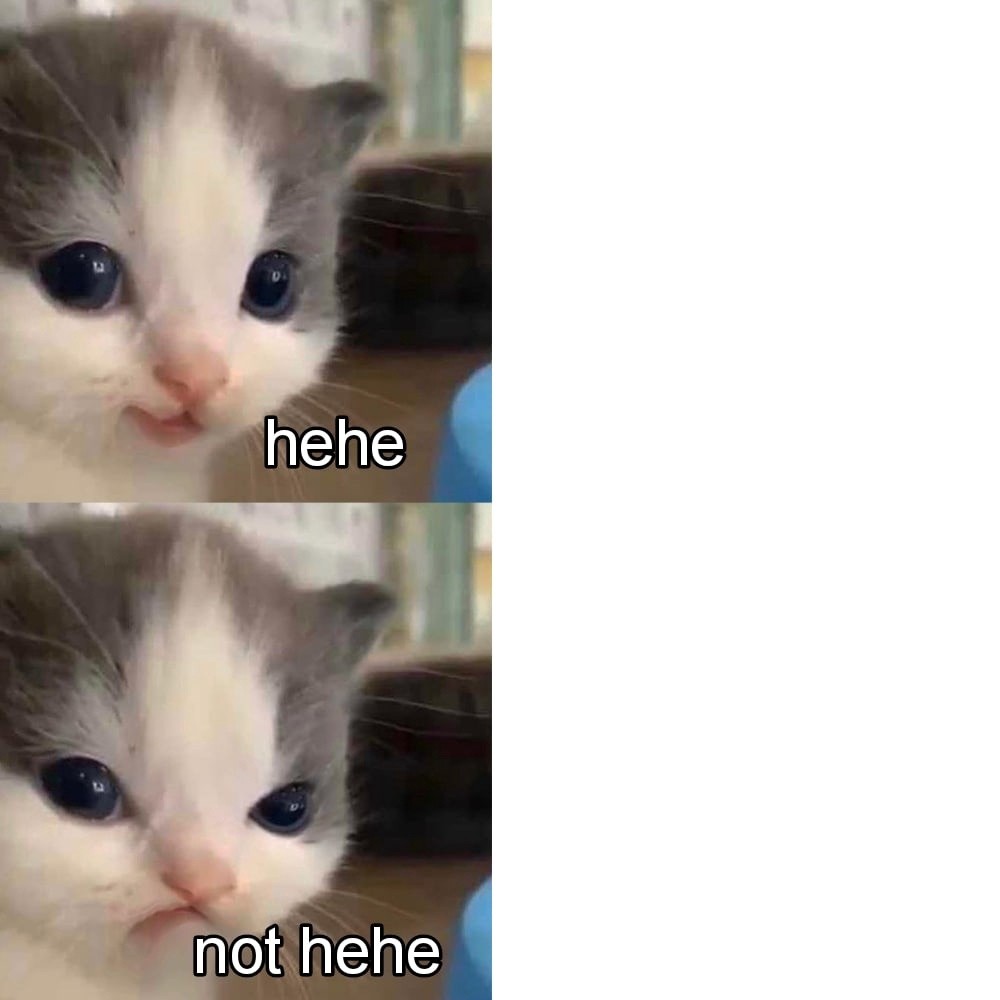 Создать мем: мем милый котик, котята мемы милые, милые котики