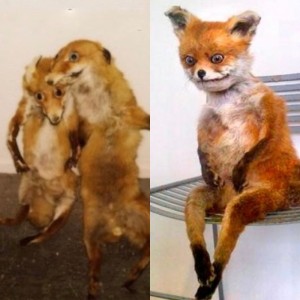 Create meme: taxidermy, taxidermy, Taxidermist