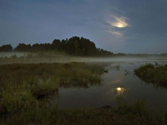 Создать мем: ночное озеро, лунная ночь болото, ночной пейзаж с рекой