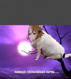 Создать мем: какая спокойная ночь мем собака, anime, аниме тян