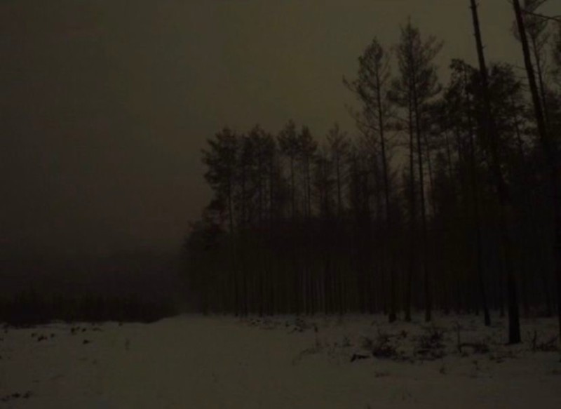 Create meme: winter forest at night, the landscape is gloomy, scary winter forest
