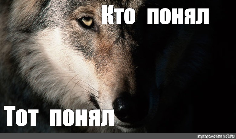 Ненавижу волков. Волк Мем. Кто понял тот понял. Волк не тот кто волк Мем. Мемы с волками.