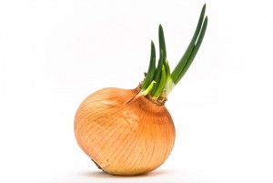 Create meme: pseudo onion, onion, onion