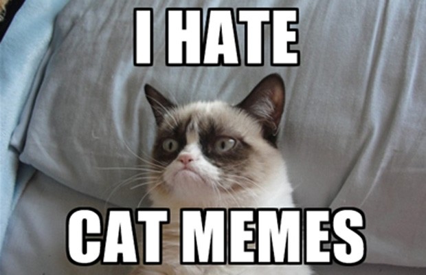 Создать мем: английский кот мем, кот мем, grumpy cat мем