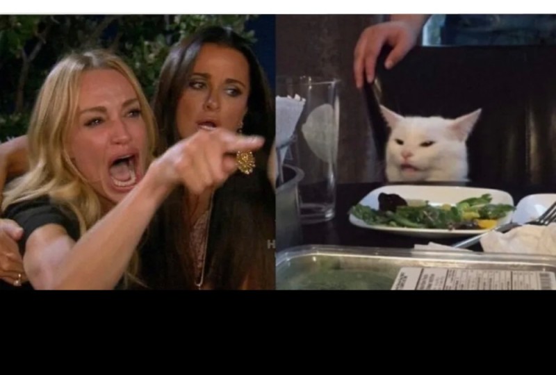 Создать мем: мем женщина и кот, мем с котом и двумя женщинами, мем с котом и девушками за столом