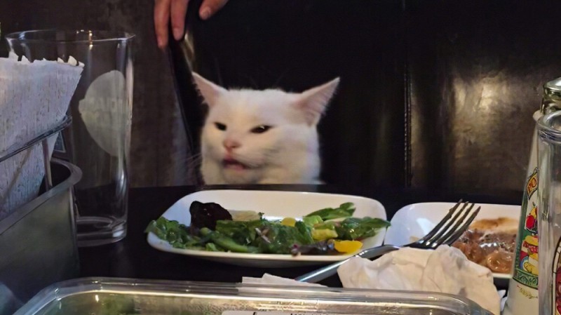 Создать мем: коты за столом, кот, кот мем