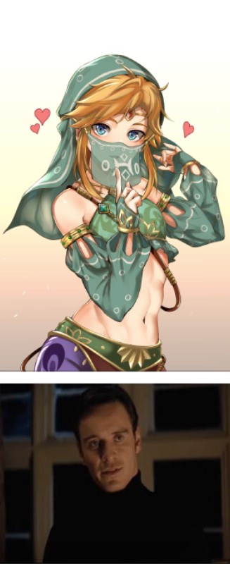 Create meme: gerudo link, zelda link, link gerudo