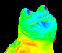 Create meme: MLG frog, rainbow frog, MLG frog