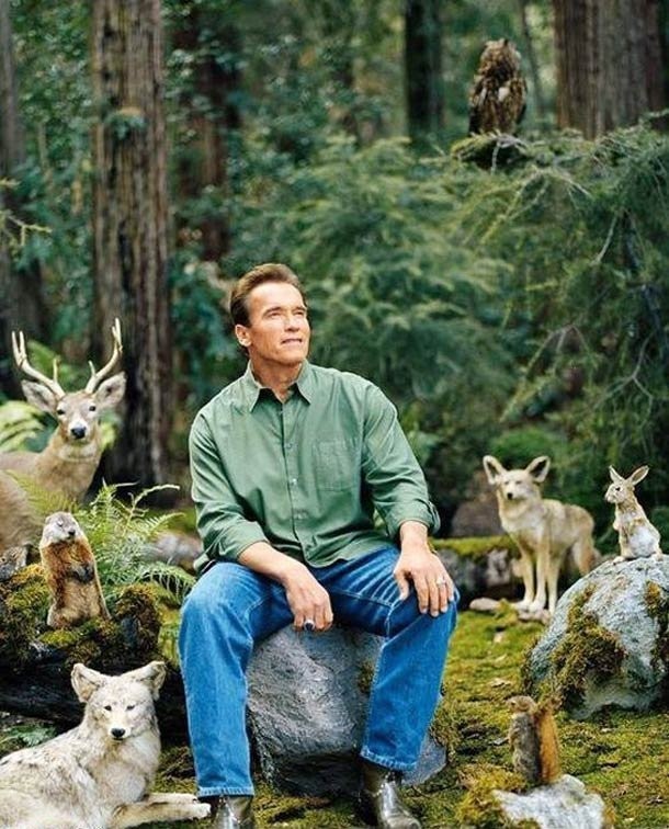 Create meme: Arnold Schwarzenegger in the woods, schwarzenegger in nature, schwarzenegger with animals meme