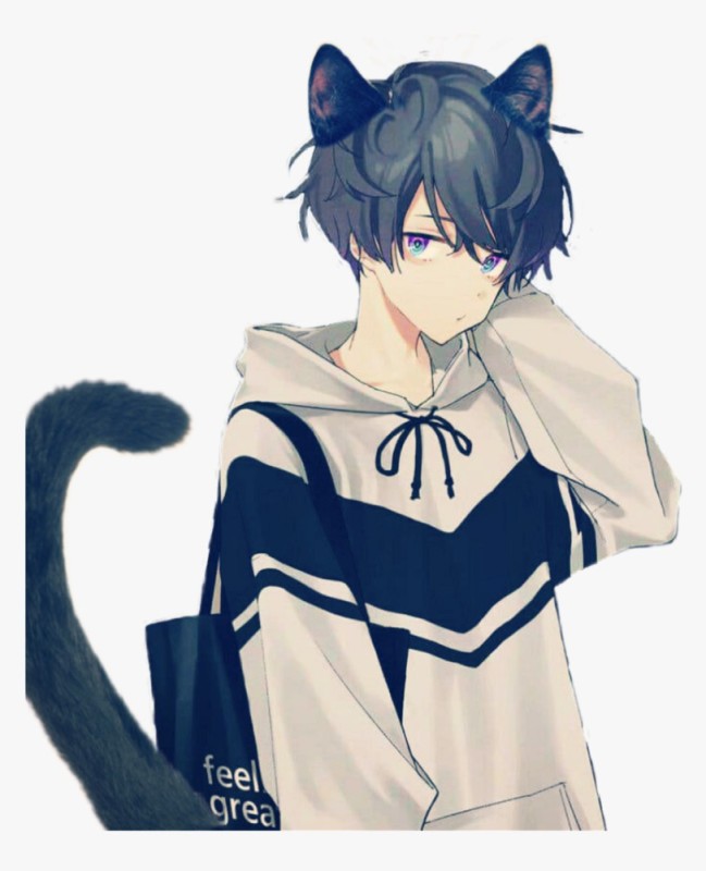 Create meme: anime guy neko, some guy art, anime kun