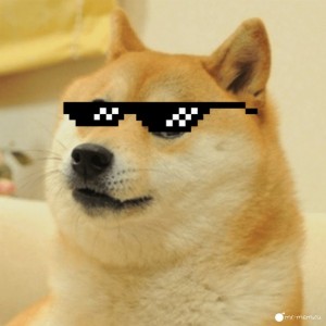 Создать мем: doge meme, животные в пиксельных очках, doge мем