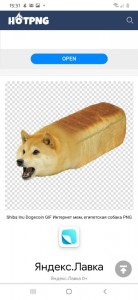 Create meme: dogecoin, dogs meme, doge meme