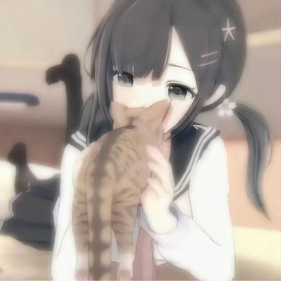 Create meme: figure , anime cats, anime girls cats