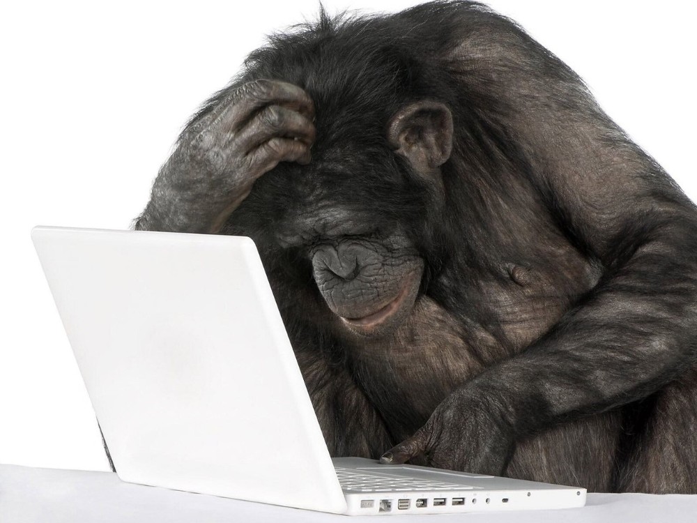 Создать мем: обезьяна перед компьютером, обезьяна за ноутбуком, обезьяна с ноутбуком