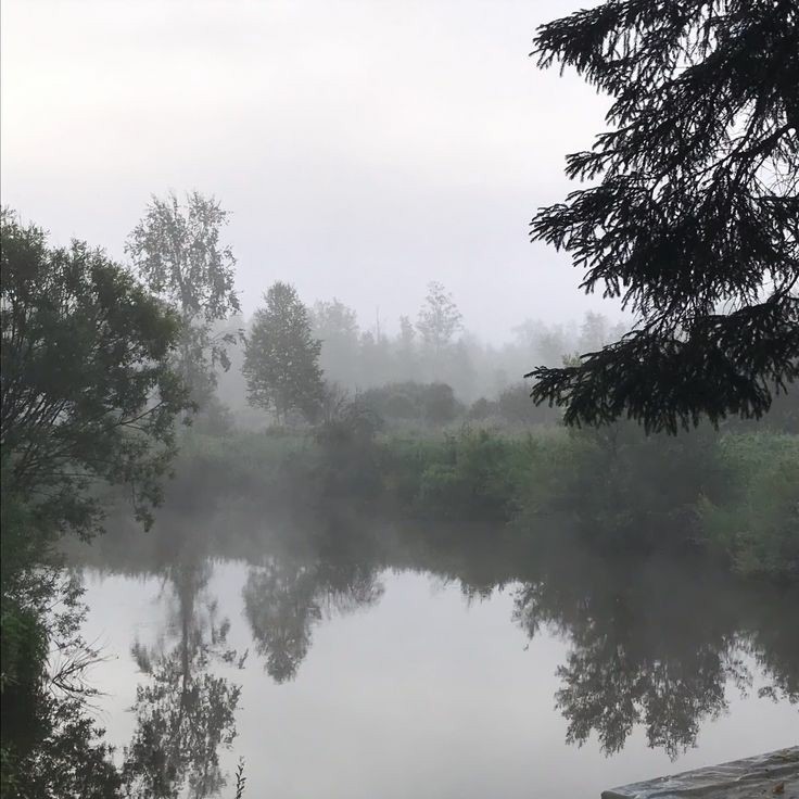 Create meme: fog on the river, river nature, nature 