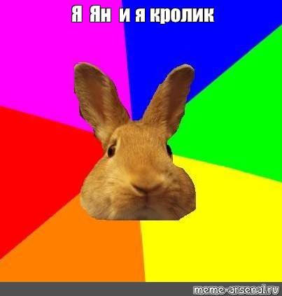 Rabbit memes