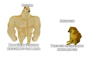 Создать мем: мускулистая собака, качок собака, doge качок