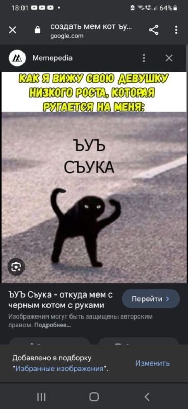 Create meme: the black cat meme, joy cat meme, joy, Shuka