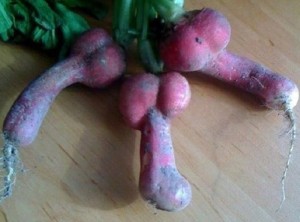 Create meme: radishes, photo of radishes joke, the radish picture is funny
