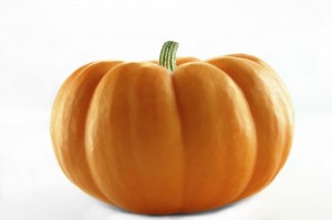 Create meme: pumpkin, pumpkin photo on a white background, pumpkin