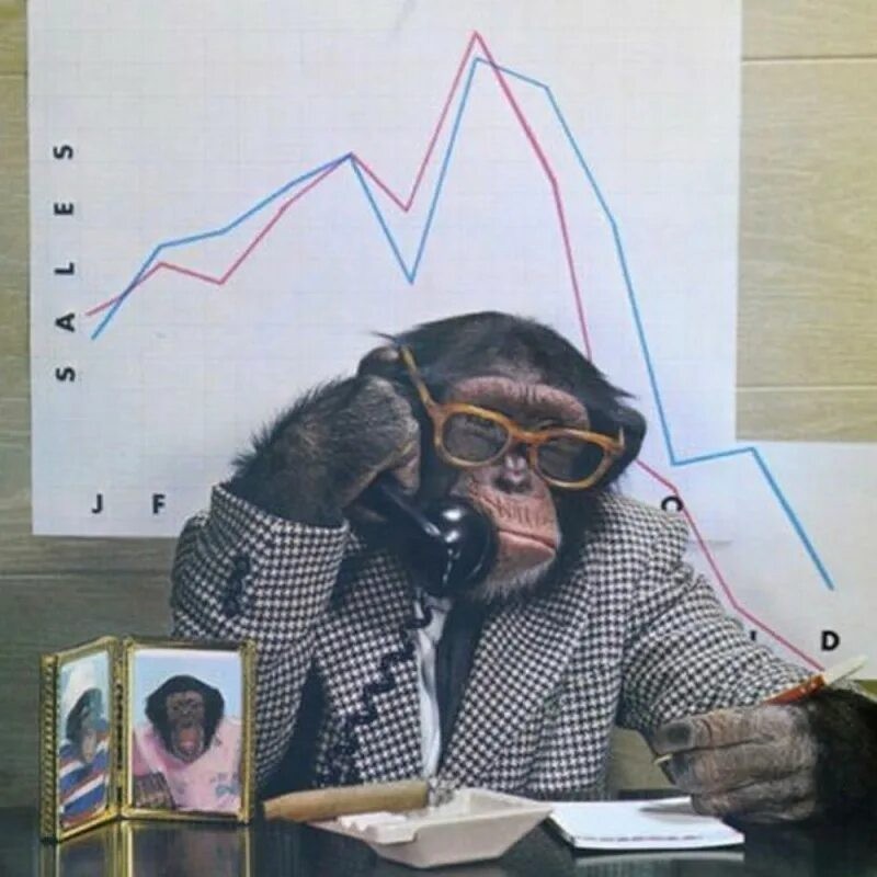 Create meme: monkey in the office, monkey banker, A monkey with glasses