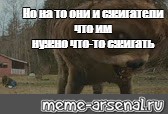 Создать мем: null