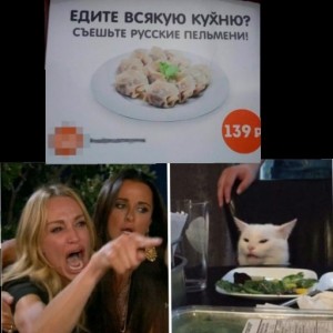 Создать мем: кот, мем с котом и двумя женщинами, мемы смешные