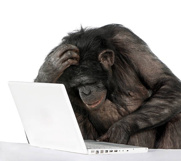 Create meme: a monkey with a computer, the monkey is thinking at the computer, the monkey behind the computer