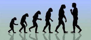 Create meme: evolution vector, evolution of man, evolution PNG
