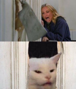 Создать мем: woman yelling at a cat, woman yelling at a cat мем, женщина орет на кота