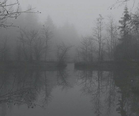 Create meme: grey fog, the landscape is gloomy, fog 