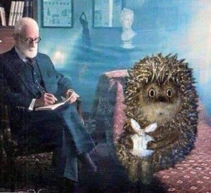 Create meme: Sigmund Freud, Dr. Freud, what are you talking about the hedgehog of the sea