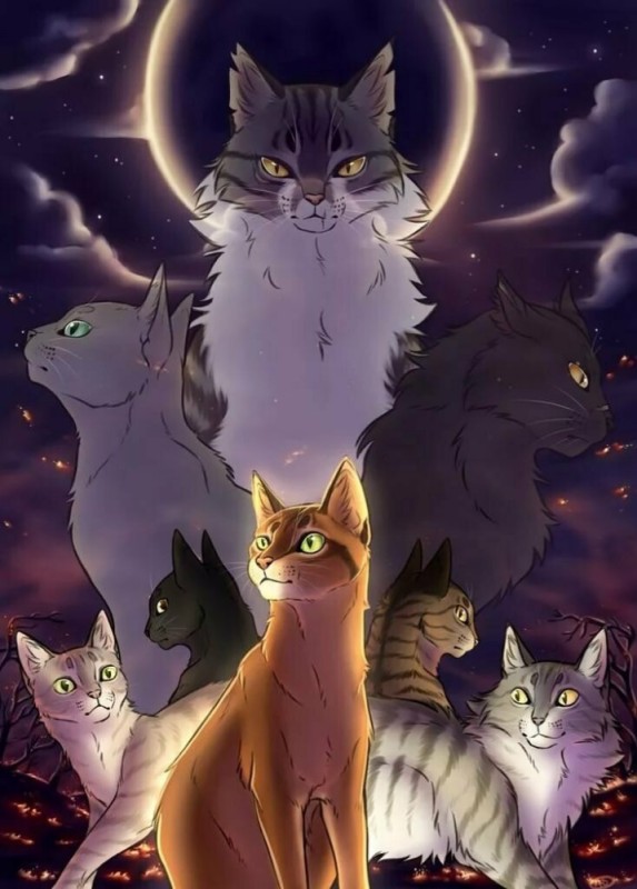 Создать мем: персонажи коты воители, эрин хантер коты воители, коты воители белогривка