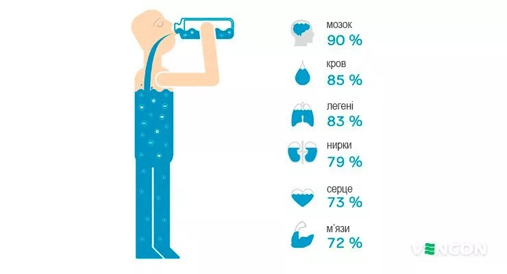 Создать мем: инфографика пить воду, вода в организме, значение воды в жизни