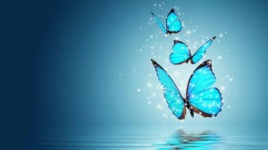 Create meme: butterfly blue pictures, blue butterfly pictures for your phone, Wallpaper butterfly