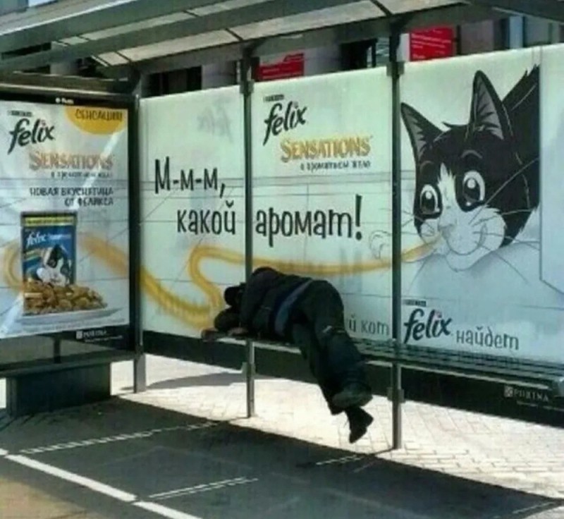 Create meme: advertising at bus stops, interesting advertising, fun 