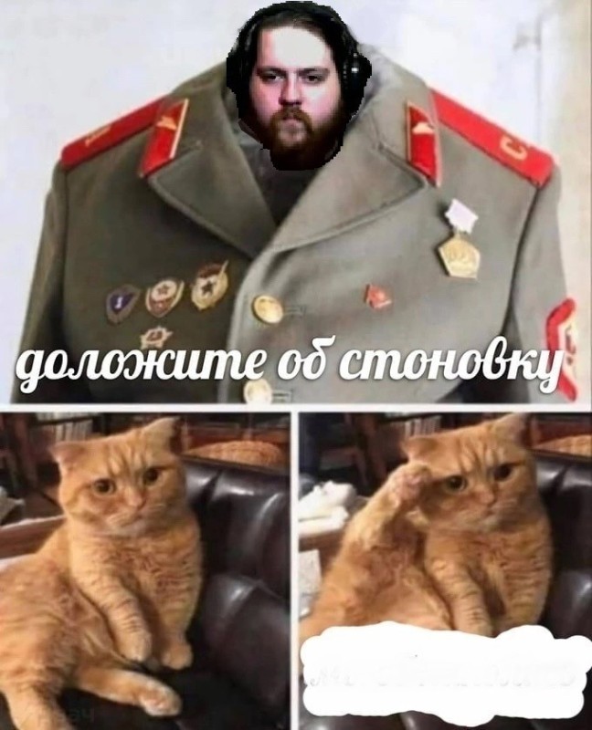 Create meme: cat , cat Stalin, memes cat