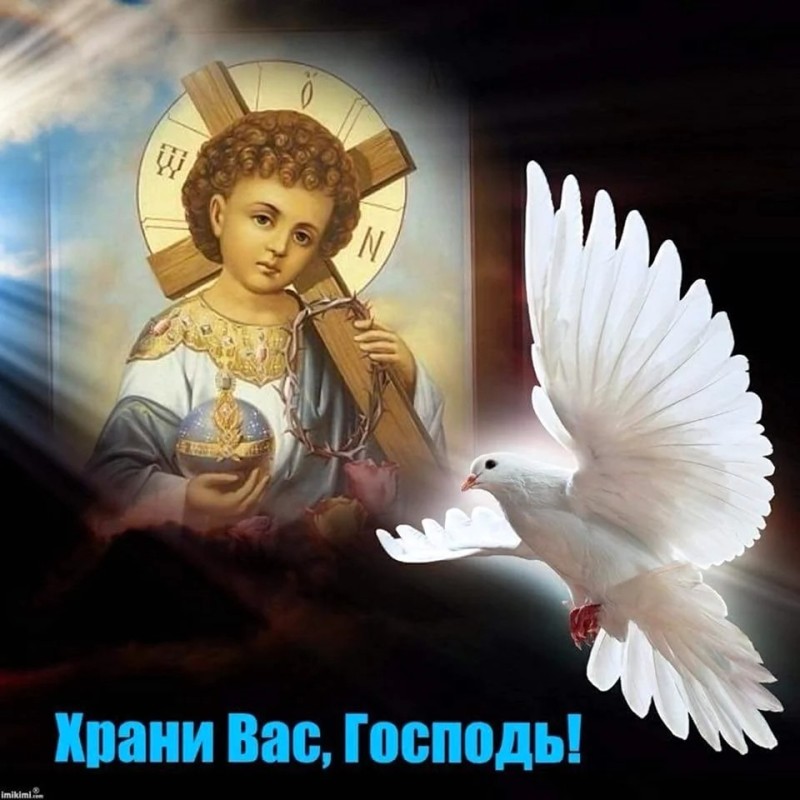 Create meme: God bless, icon of the Virgin Mary like an eagle wings, God save us