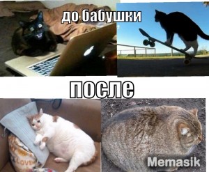 Создать мем: тонкий юмор, мем толстый кот в слезах