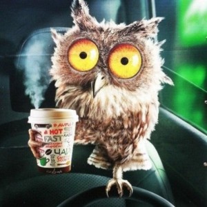 Create meme: owl cross stitch, coffee it, coffee and tea
